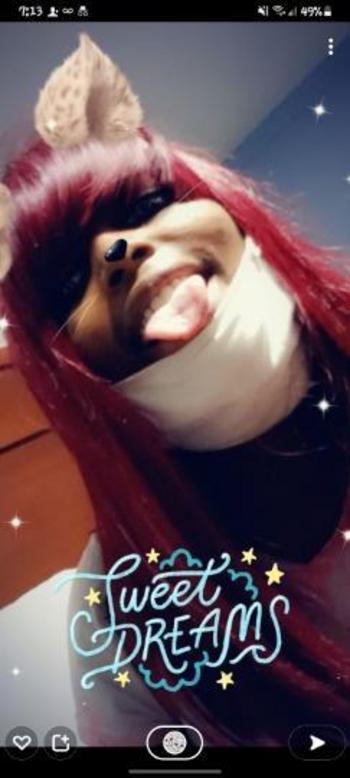 9013210362, female escort, Memphis