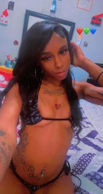 9016092904, female escort, Memphis