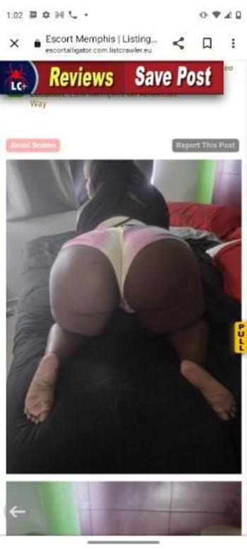 9016307337, female escort, Memphis