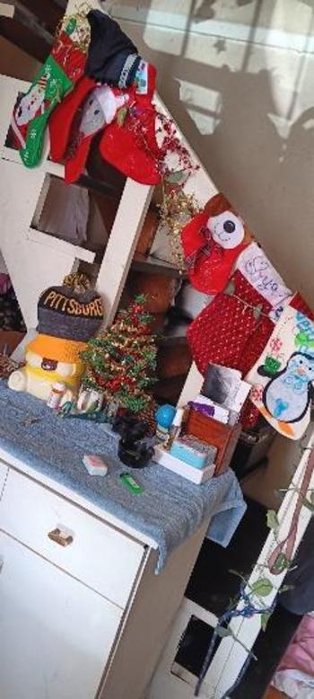 9014567575, female escort, Memphis